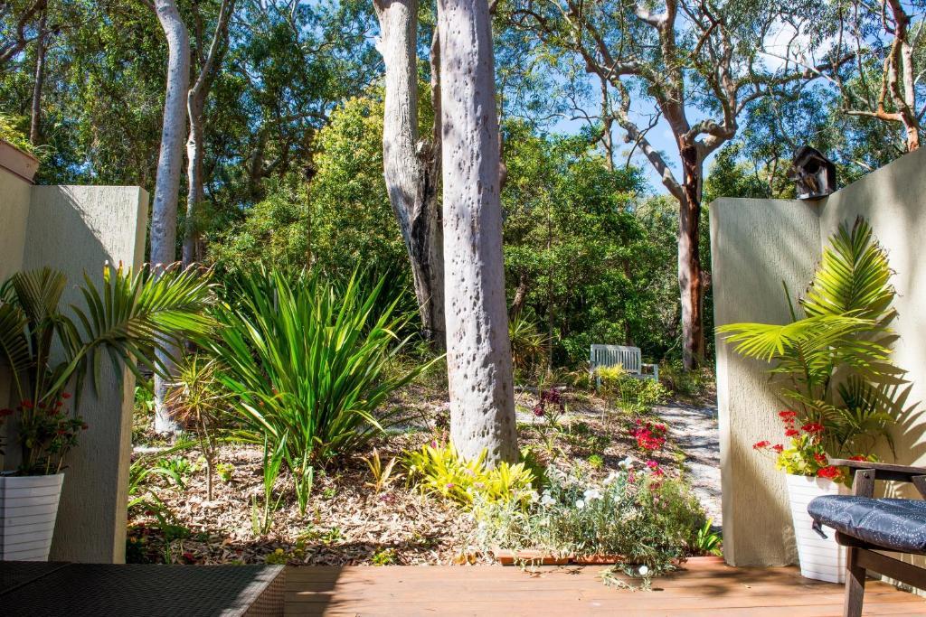 Nelson Bay Bed & Breakfast Zimmer foto