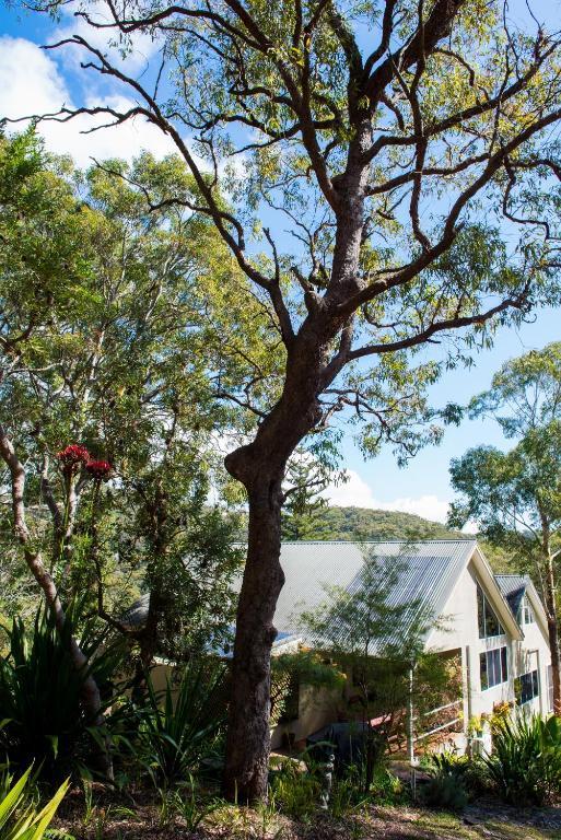 Nelson Bay Bed & Breakfast Exterior foto