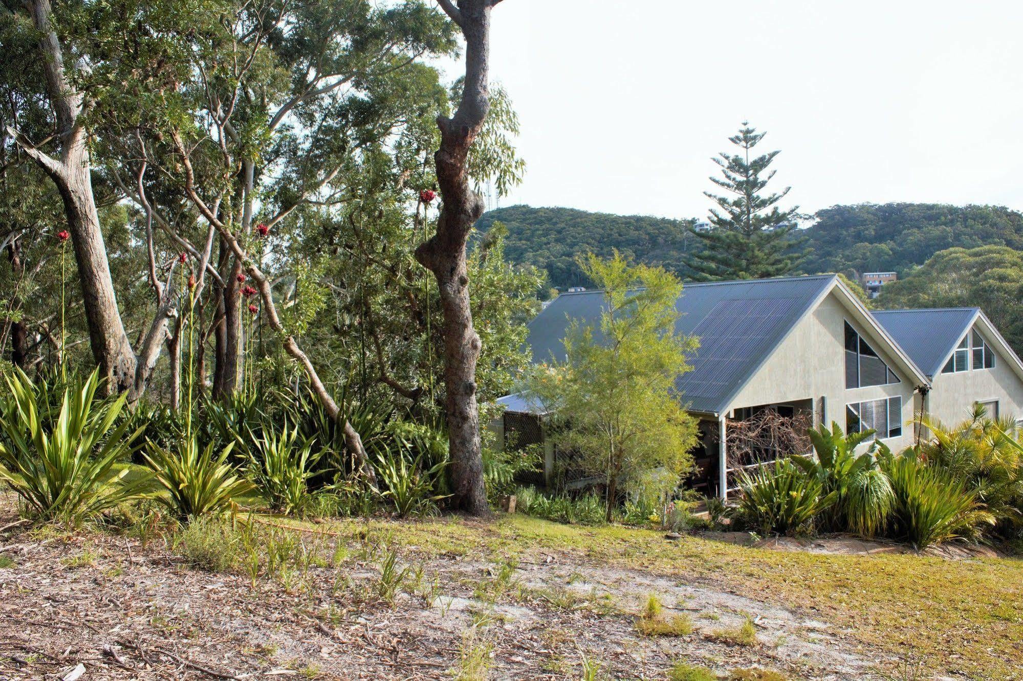 Nelson Bay Bed & Breakfast Exterior foto