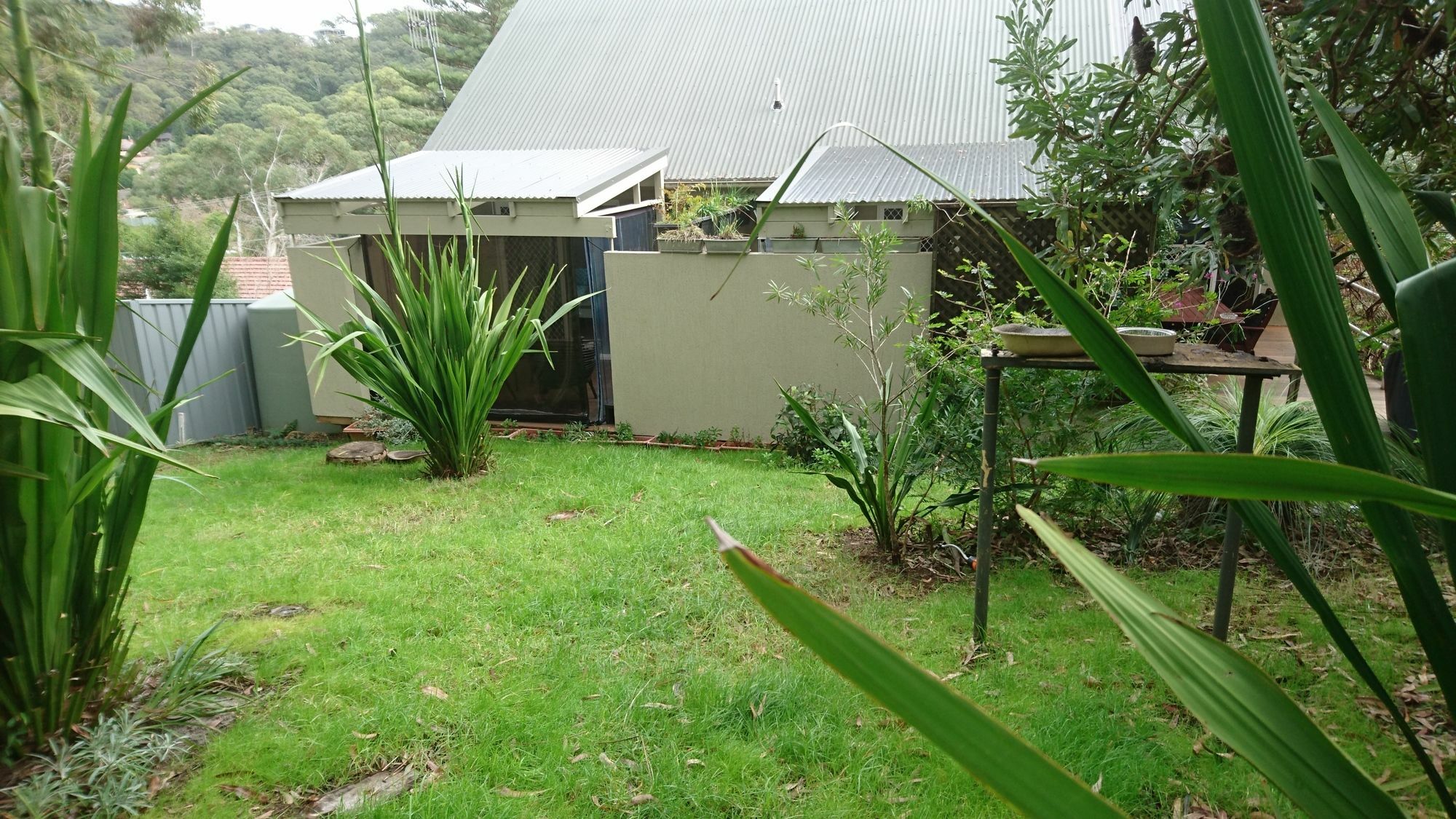 Nelson Bay Bed & Breakfast Exterior foto