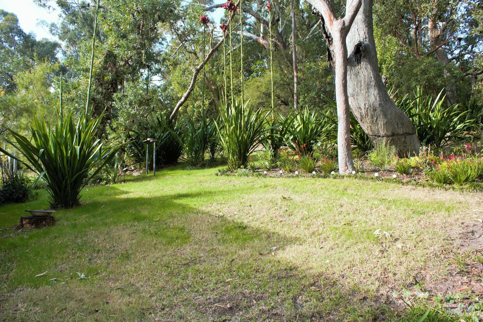 Nelson Bay Bed & Breakfast Exterior foto